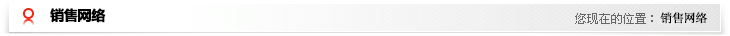 銷售網絡